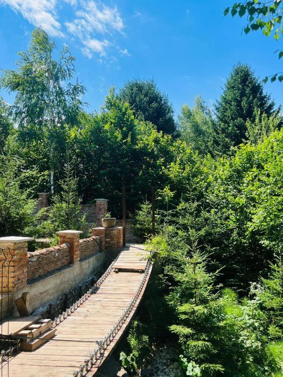 Casa Cu Mesteceni Rîşnov Dış mekan fotoğraf