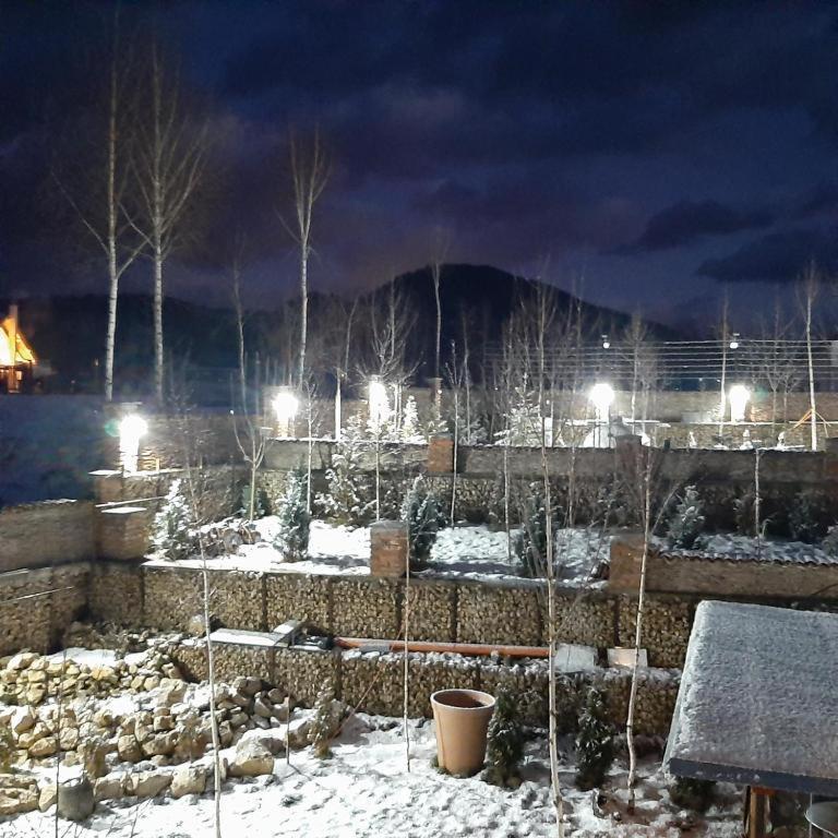 Casa Cu Mesteceni Rîşnov Dış mekan fotoğraf
