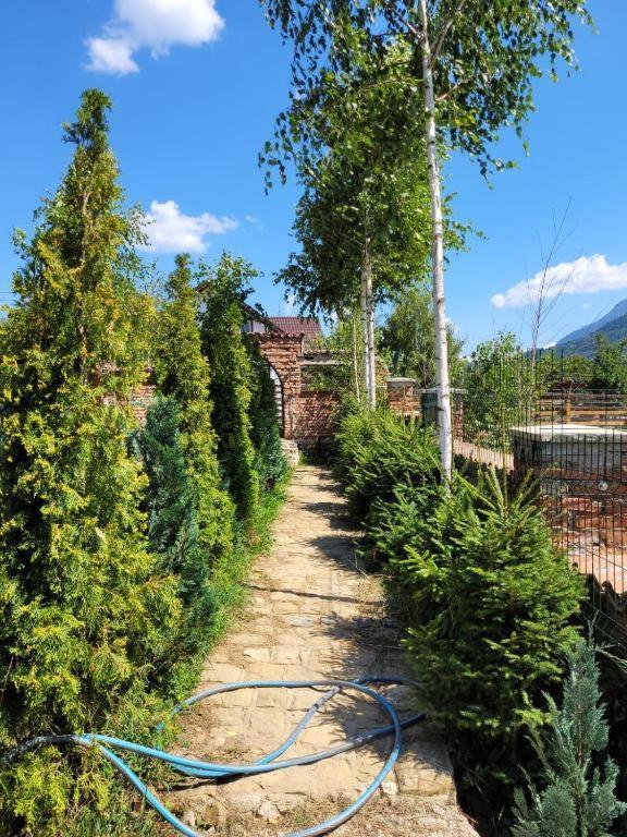 Casa Cu Mesteceni Rîşnov Dış mekan fotoğraf