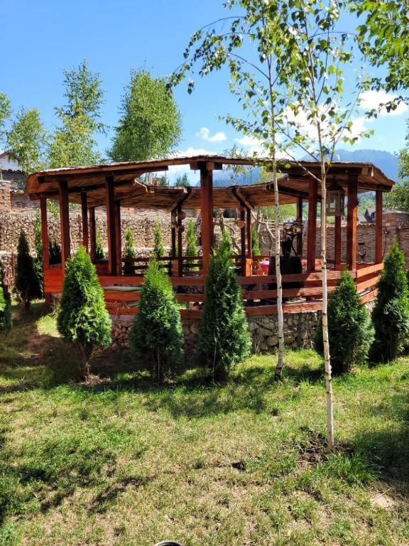 Casa Cu Mesteceni Rîşnov Dış mekan fotoğraf