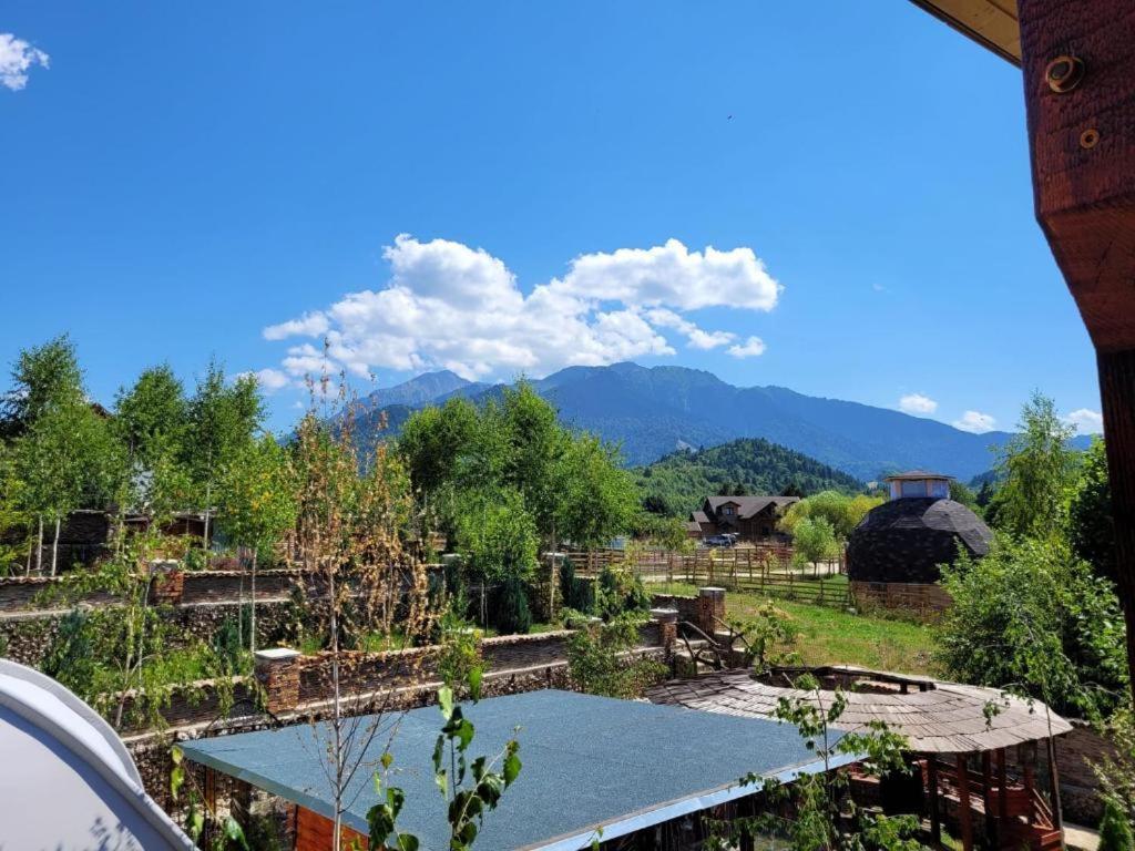 Casa Cu Mesteceni Rîşnov Dış mekan fotoğraf