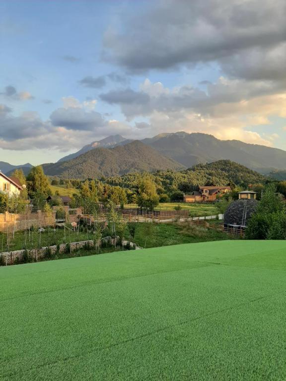 Casa Cu Mesteceni Rîşnov Dış mekan fotoğraf