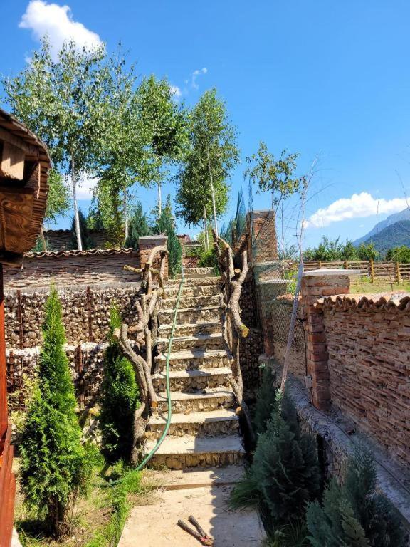Casa Cu Mesteceni Rîşnov Dış mekan fotoğraf